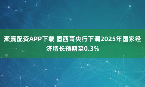 聚赢配资APP下载 墨西哥央行下调2025年国家经济增长预期至0.3%