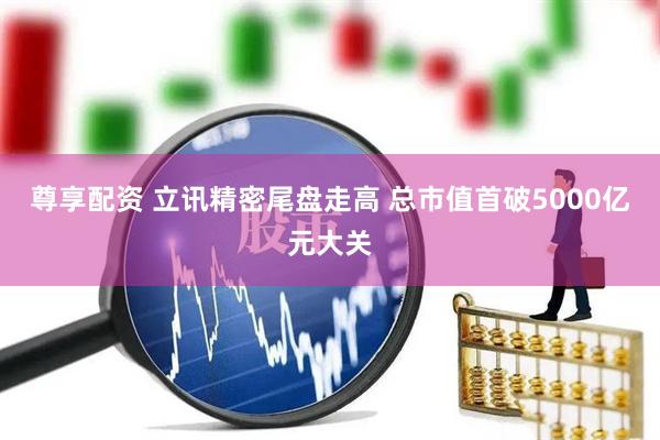 尊享配资 立讯精密尾盘走高 总市值首破5000亿元大关
