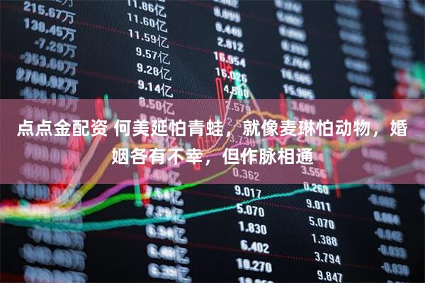 点点金配资 何美延怕青蛙，就像麦琳怕动物，婚姻各有不幸，但作脉相通