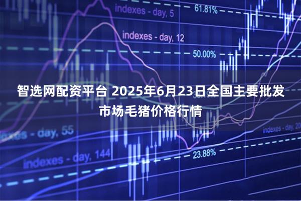 智选网配资平台 2025年6月23日全国主要批发市场毛猪价格行情