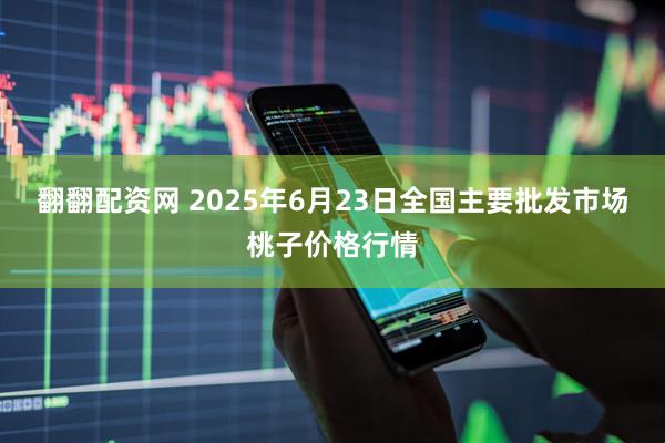 翻翻配资网 2025年6月23日全国主要批发市场桃子价格行情