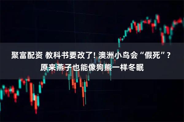 聚富配资 教科书要改了! 澳洲小鸟会“假死”? 原来燕子也能像狗熊一样冬眠
