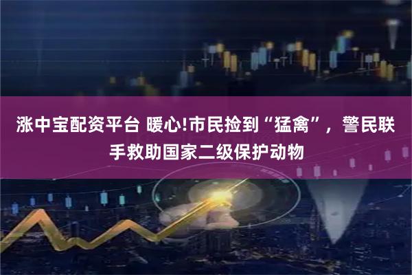 涨中宝配资平台 暖心!市民捡到“猛禽”，警民联手救助国家二级保护动物