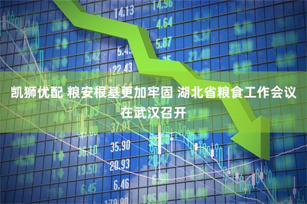 凯狮优配 粮安根基更加牢固 湖北省粮食工作会议在武汉召开
