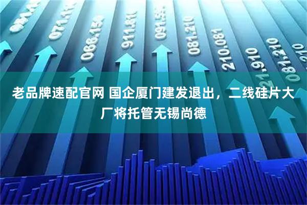 老品牌速配官网 国企厦门建发退出，二线硅片大厂将托管无锡尚德