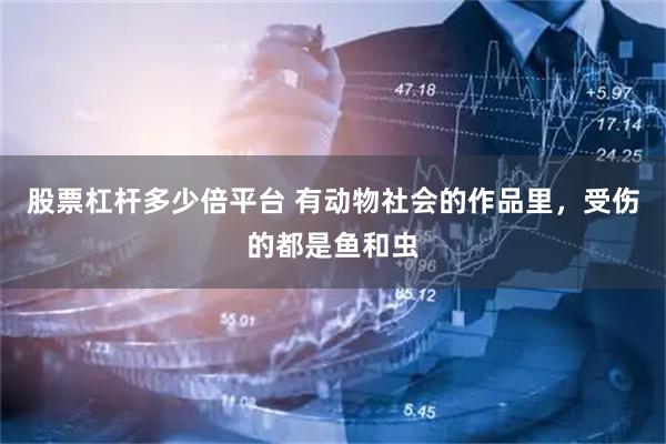 股票杠杆多少倍平台 有动物社会的作品里，受伤的都是鱼和虫