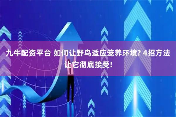 九牛配资平台 如何让野鸟适应笼养环境? 4招方法让它彻底接受!