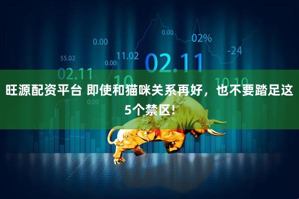 旺源配资平台 即使和猫咪关系再好，也不要踏足这5个禁区!