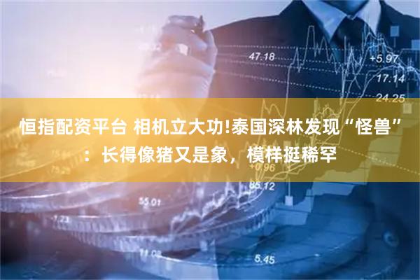恒指配资平台 相机立大功!泰国深林发现“怪兽”：长得像猪又是象，模样挺稀罕