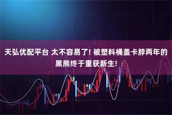 天弘优配平台 太不容易了! 被塑料桶盖卡脖两年的黑熊终于重获新生!