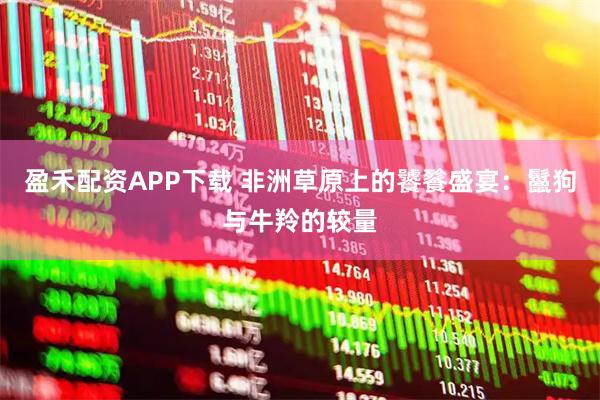 盈禾配资APP下载 非洲草原上的饕餮盛宴：鬣狗与牛羚的较量