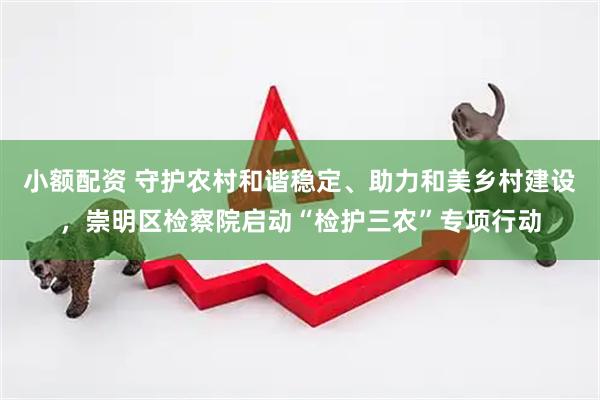 小额配资 守护农村和谐稳定、助力和美乡村建设，崇明区检察院启动“检护三农”专项行动